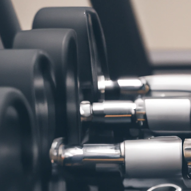 dumbbells on a weight rack